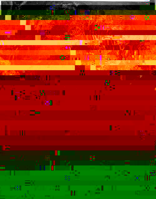 DC0013.jpg