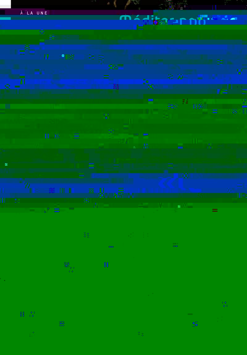 Nexus72 méditer0011.jpg